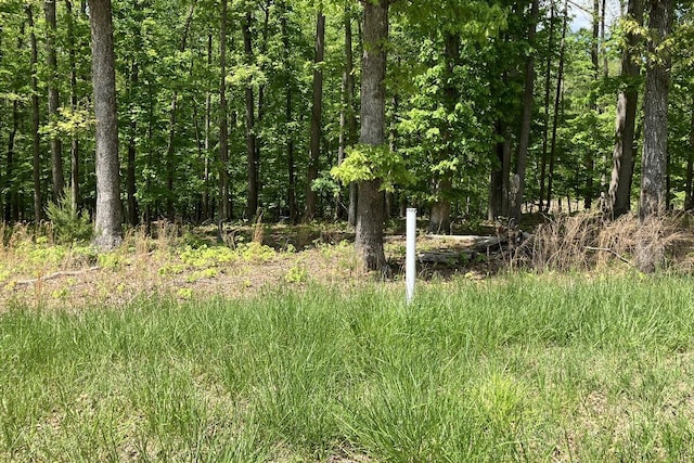 LOT8 Red Barn Ln, Wirtz, VA 24184