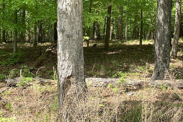 LOT8 Red Barn Ln, Wirtz, VA 24184