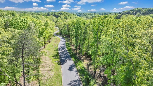 LOT8 Red Barn Ln, Wirtz, VA 24184