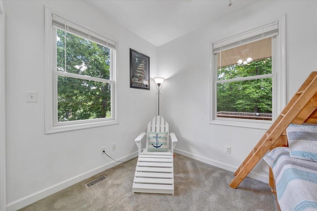 1165 Joffrey Dr, Huddleston, VA 24104 - carpeted bedroom with multiple windows and baseboards
