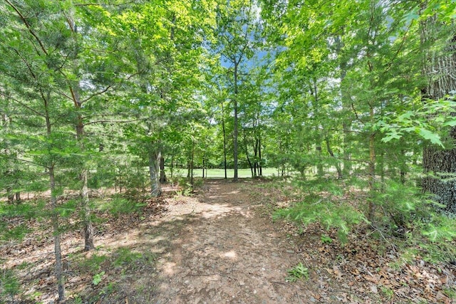 1165 Joffrey Dr, Huddleston, VA 24104 - view of undeveloped land