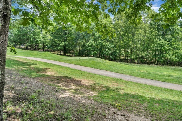 1165 Joffrey Dr, Huddleston, VA 24104 - view of community featuring a yard