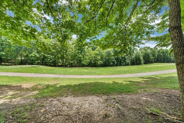 1165 Joffrey Dr, Huddleston, VA 24104 - view of community with a lawn