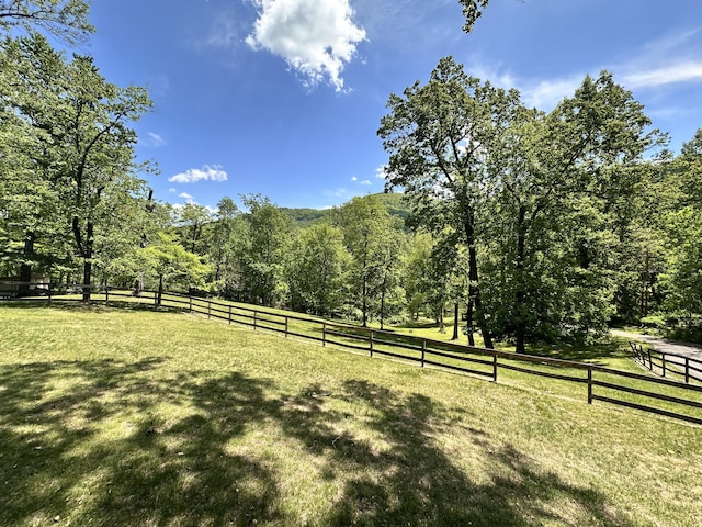 view of yard with a fenced backyard and a ceiling fan