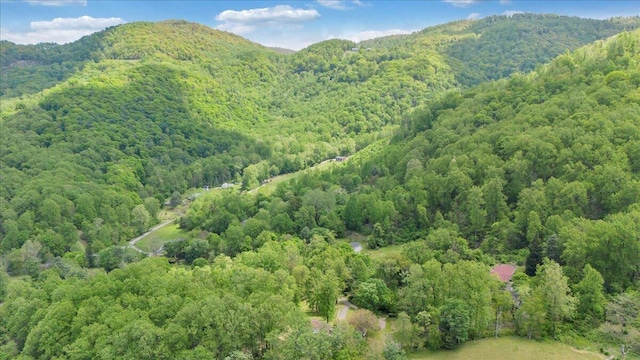 birds eye view of property with a mountain view and a forest view
