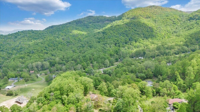 drone / aerial view featuring a mountain view and a wooded view