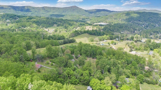 mountain view with a forest view