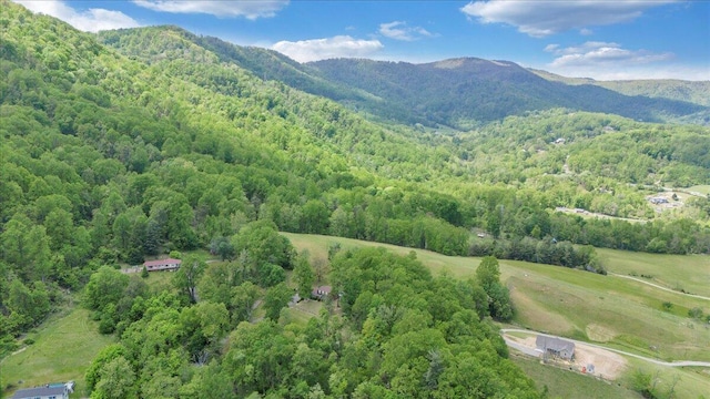 bird's eye view featuring a mountain view and a forest view