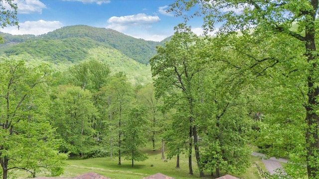 mountain view with a forest view