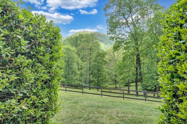view of yard with fence and a mountain view