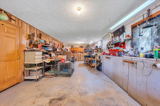 1296 Emerald Valley Way, Huddleston, VA 24104 - below grade area with a workshop area and a textured ceiling