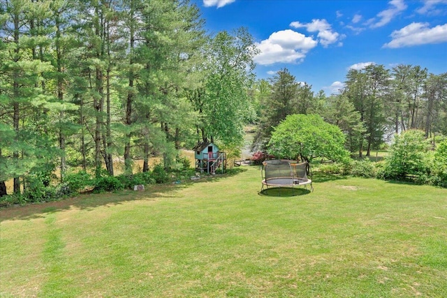 1296 Emerald Valley Way, Huddleston, VA 24104 - view of green lawn featuring a trampoline and a playground