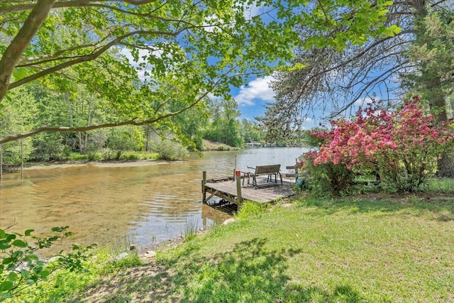 1296 Emerald Valley Way, Huddleston, VA 24104 - dock area featuring a water view
