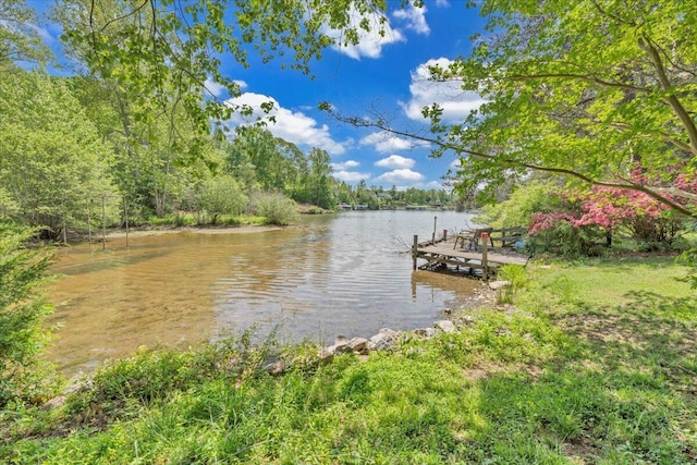 1296 Emerald Valley Way, Huddleston, VA 24104 - dock area featuring a water view and a forest view