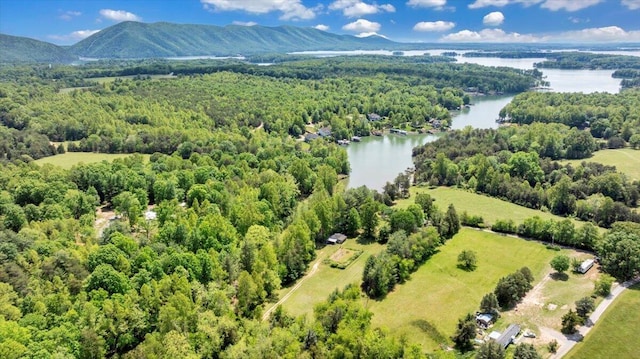 1296 Emerald Valley Way, Huddleston, VA 24104 - aerial view of a water and mountain view and a forest