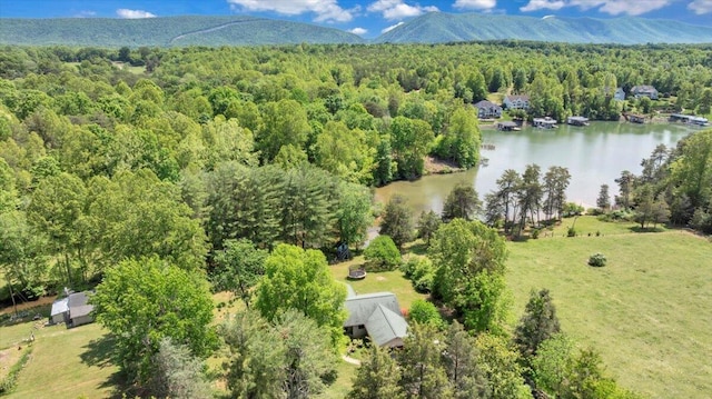 1296 Emerald Valley Way, Huddleston, VA 24104 - aerial view of a forest and a nearby body of water