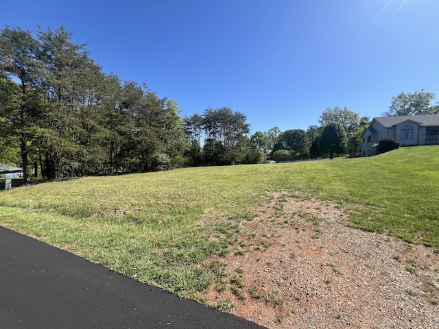 0 Indian Pointe Dr, Hardy, VA 24101