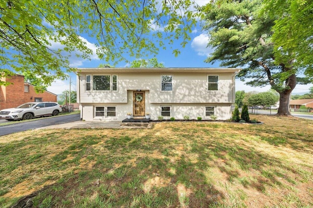raised ranch with a front lawn