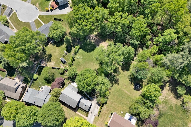 bird's eye view