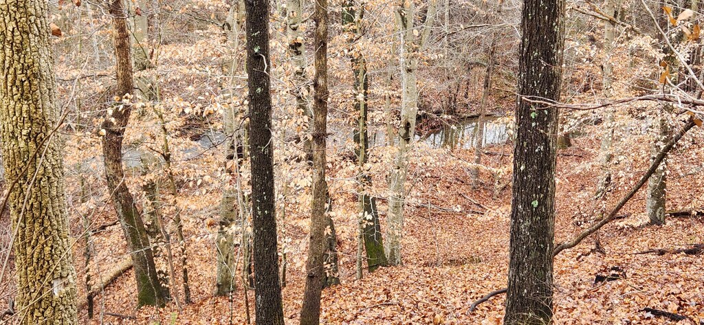 LOT6 Brooks Mill Rd, Glade Hill, VA 24092