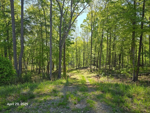 LOT94 Crestview Rd, Wirtz, VA 24184