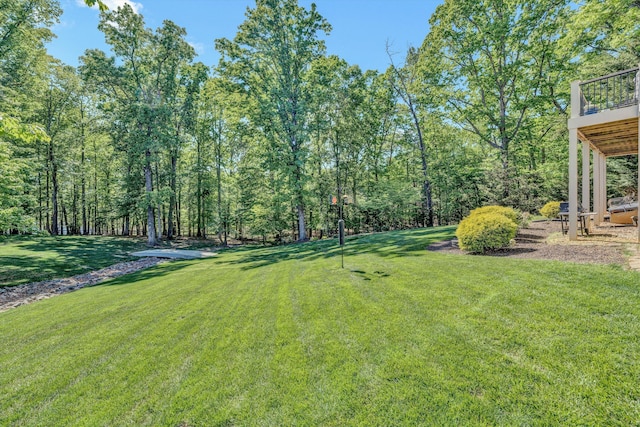 77 Sunview Cir, Moneta, VA 24121 - view of yard