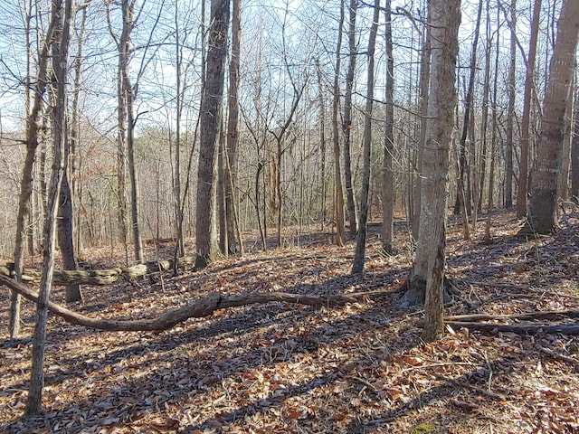 LOT1 Truman Hill Rd, Hardy, VA 24101