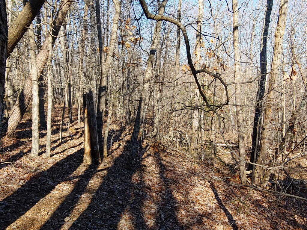 LOT1 Truman Hill Rd, Hardy, VA 24101