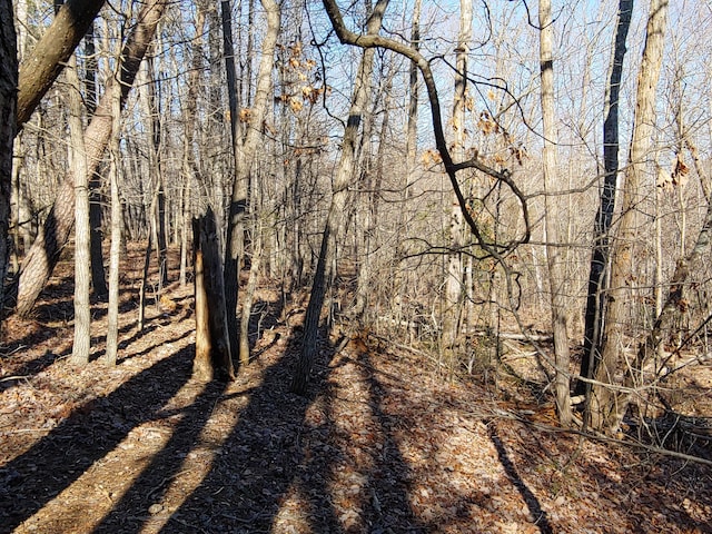 LOT1 Truman Hill Rd, Hardy, VA 24101