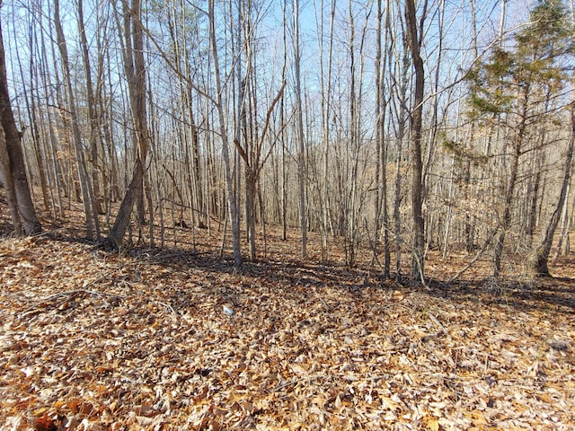 LOT9 Horseshoe Bend Rd, Goodview, VA 24095
