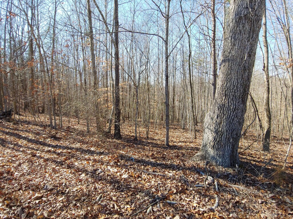 LOT9 Horseshoe Bend Rd, Goodview, VA 24095