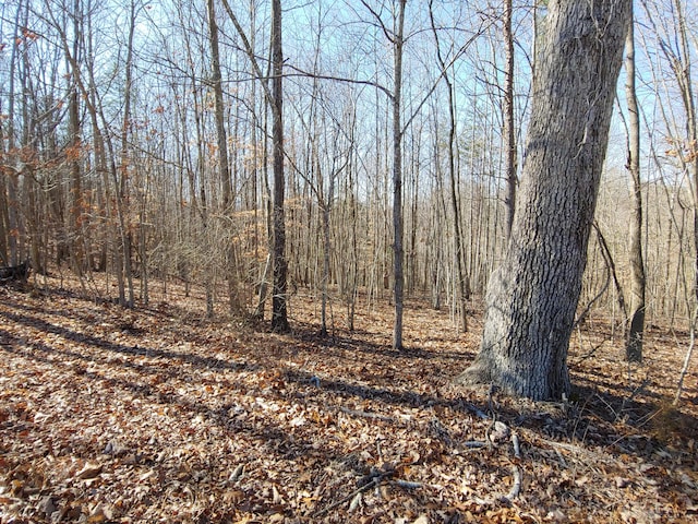 LOT9 Horseshoe Bend Rd, Goodview, VA 24095