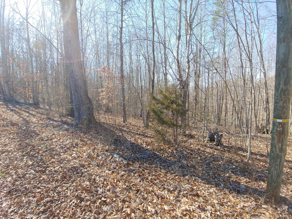 LOT9 Horseshoe Bend Rd, Goodview, VA 24095