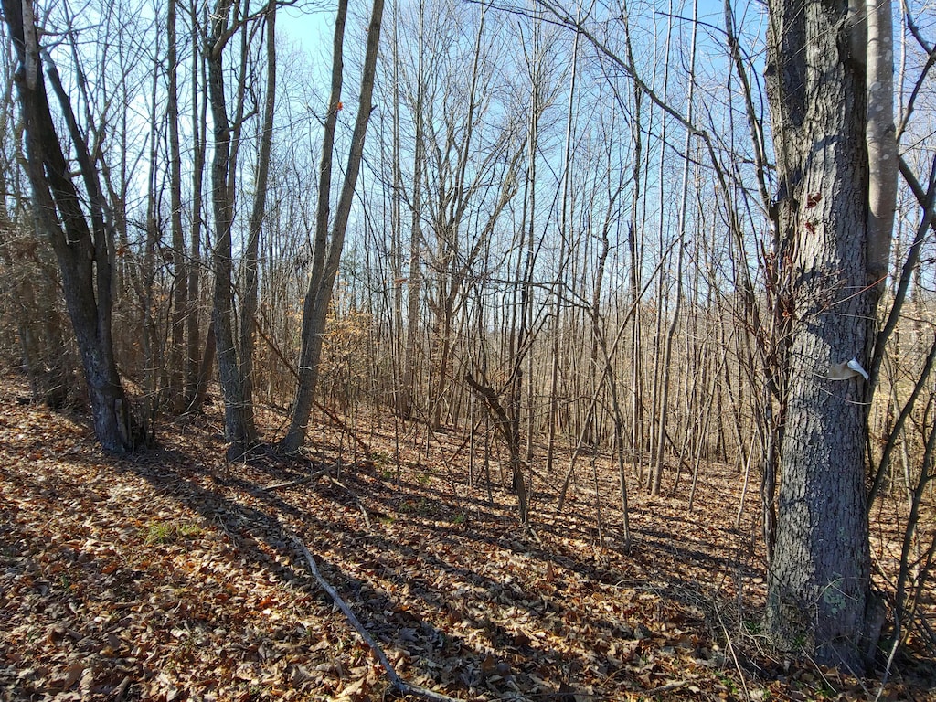 LOT10 Horseshoe Bend Rd, Goodview, VA 24095
