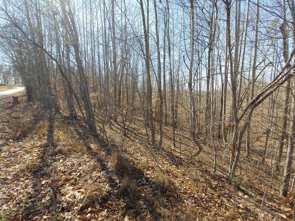 LOT10 Horseshoe Bend Rd, Goodview, VA 24095