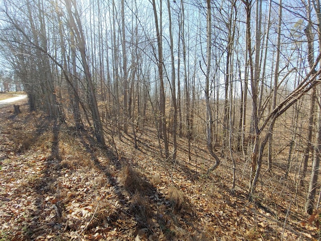 LOT10 Horseshoe Bend Rd, Goodview, VA 24095