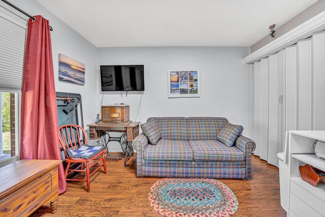 living area featuring wood finished floors