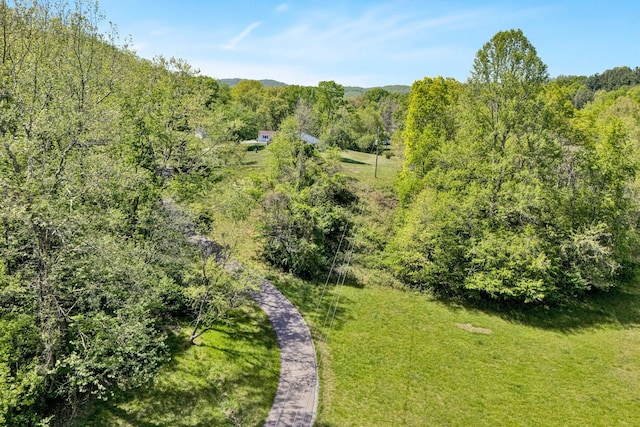 view of local wilderness with a view of trees