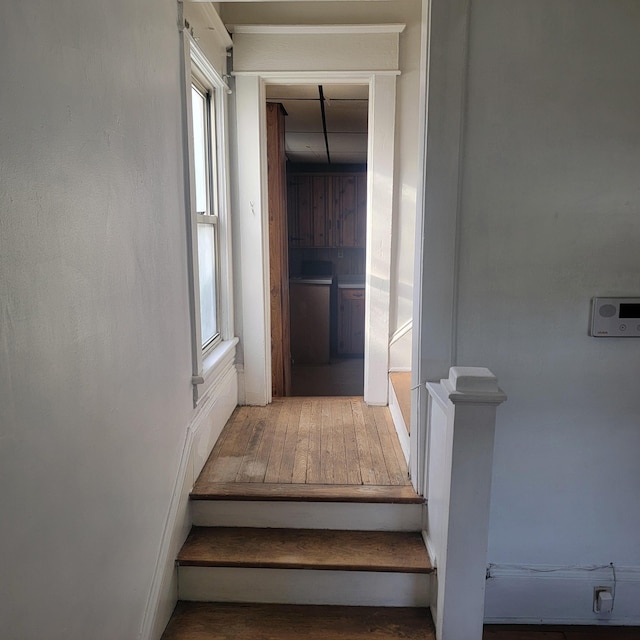 2118 Berkley Ave SW, Roanoke, VA 24015 - staircase featuring plenty of natural light