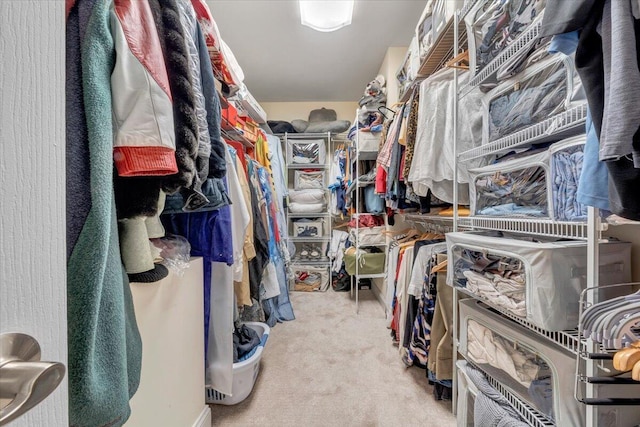 spacious closet featuring carpet floors