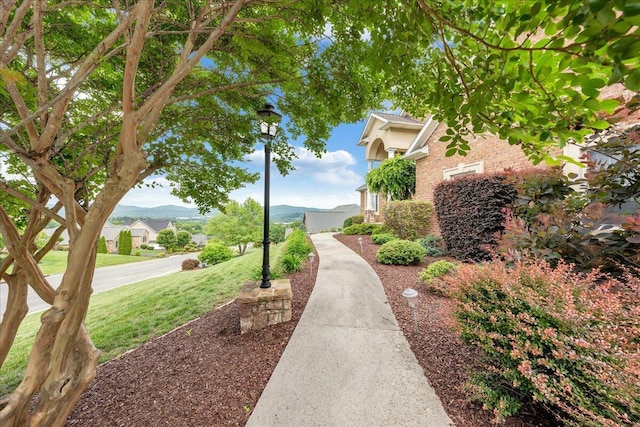 view of home's community featuring a yard and a mountain view