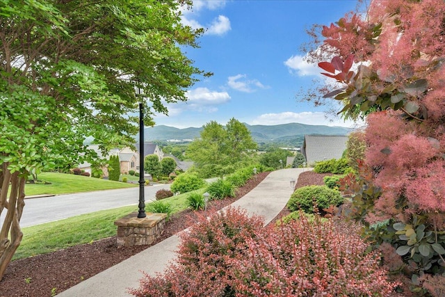 view of property's community with a mountain view and a yard