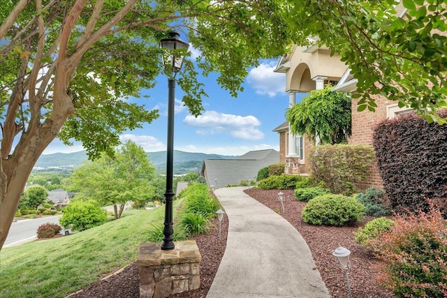 view of home's community with a mountain view and a lawn