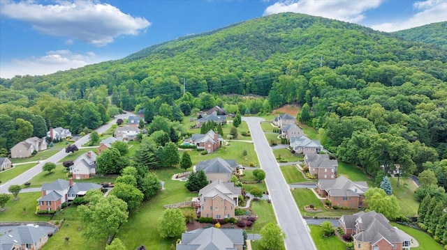 aerial perspective of suburban area with a heavily wooded area and a mountainous background
