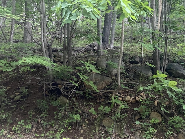 0 Sawmill Rd, Bedford, VA 24523
