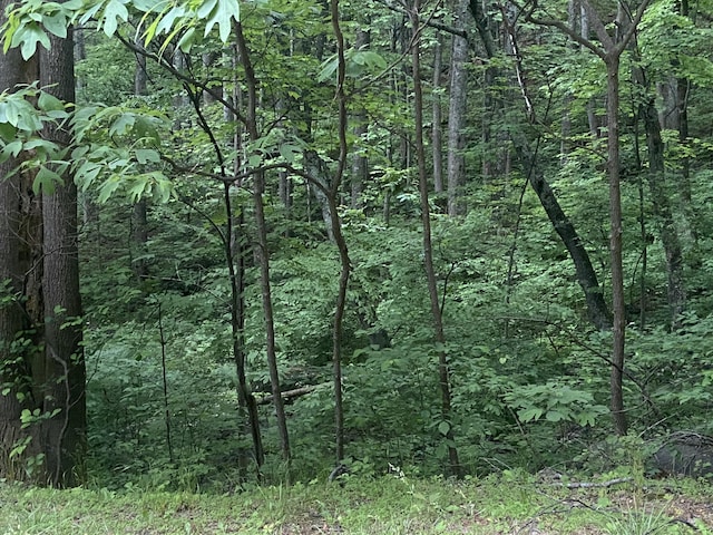 0 Sawmill Rd, Bedford, VA 24523