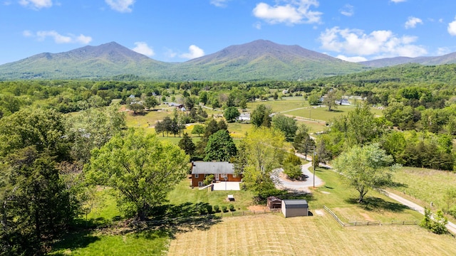 birds eye view of property with a mountain view and a rural view