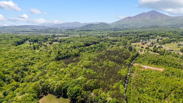 property view of mountains featuring a forest view
