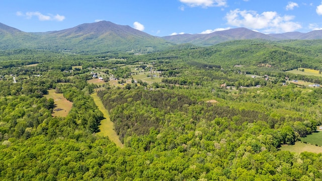 birds eye view of property featuring a wooded view and a mountain view