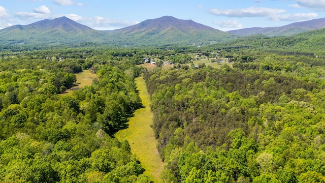 mountain view with a forest view